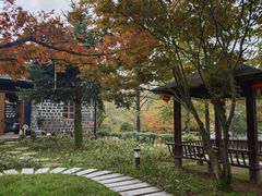 -四明山国家森林公园