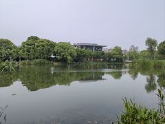 -新江湾城公园