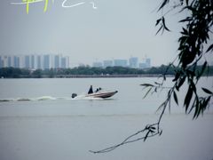 -瑶湖郊野森林公园