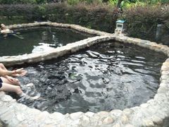 -江门古兜温泉小镇