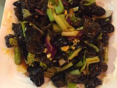 爽口木耳-华光驿站私房菜·黑金冠