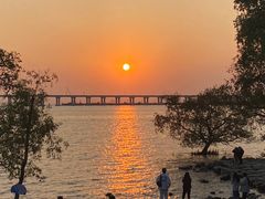-宝安西湾红树林湿地公园