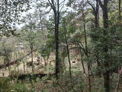-中国大熊猫保护研究中心雅安碧峰峡基地