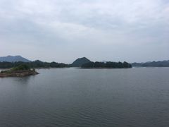 -浔味·山屿湖·正宗全鱼宴老字号