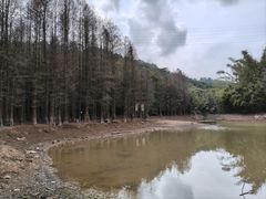 -滴水岩森林公园