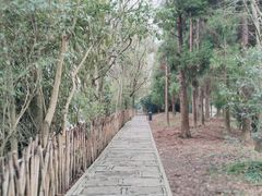 -贵阳市花溪国家城市湿地公园