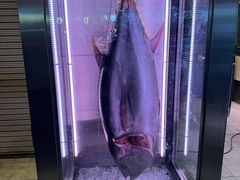 -大起水产回转寿司(大丸心斋桥店)