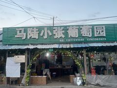 -马陆小张葡萄园农家乐