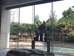 -外滩悦榕庄·海怡西餐厅