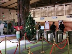 -汤连得温泉馆(宝山店)