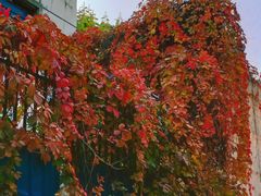 -中山路(地铁站)