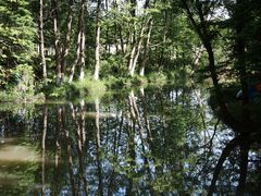 -桤木河湿地公园