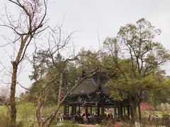 -常德桃花源景区