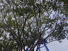 -广州长隆欢乐世界