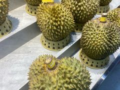 -独一道·邵伯龙虾土菜馆·烧烤(雨花西路店)