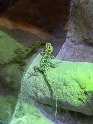 -酷嗒动物文化乐园(cutezoo西溪乐天城店)