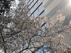 -玛格萝妮比萨屋(四平店)
