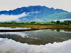 景点-莲峰云海景区