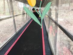 -香炉山国家森林公园