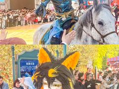 -海合安武汉极地海洋公园