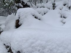 -龙苍沟森林公园