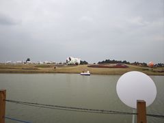 -空港花田景区