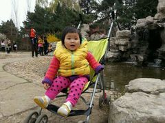 android_upload_pic-沈阳南湖公园