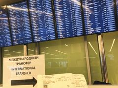 -谢列梅捷沃国际机场