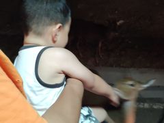 -清迈夜间动物园