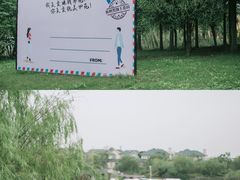 -杭州湾海上花田景区