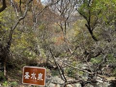 -灵山