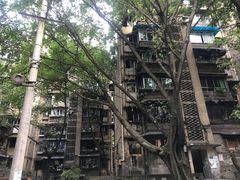 -渝味黄姐火锅(黄泥村店)