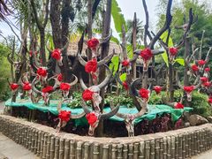 -云南民族村