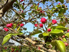 -元大都城垣遗址公园