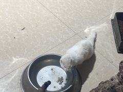 -台州海洋世界