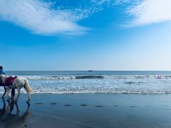 -南澳海滩