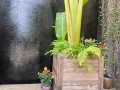 -肴约·花园式餐厅(湖里店)
