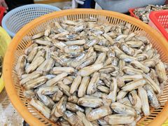 -东河市场