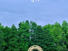 -金沙遗址博物馆