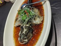 -骏莱海鲜鱼港(五角场店)