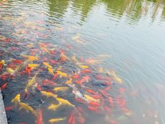 -狼山风景名胜区