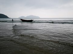 -叶记猪肚鸡(宝安椰林湾店)