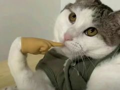 -满记甜品(静安大悦城店)