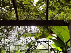 -金稼园·金平湖农家菜