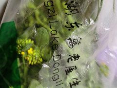 -梁子湖东篱老屋生态庄园