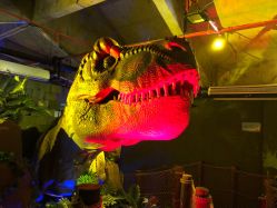 -恐龙探索乐园(磁器口店)
