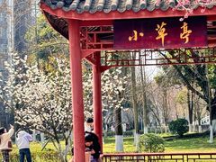 -成都中医药大学(温江校区)