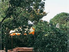 -西安华清御汤酒店