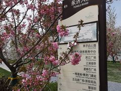 -幕燕滨江·长江观音景区