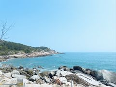 -广东惠东海龟国家级自然保护区